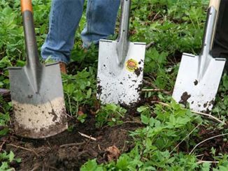 gartenarbeit senioren